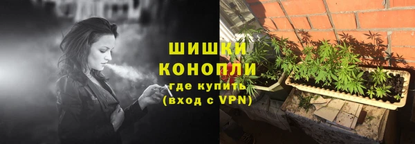 индика Бронницы